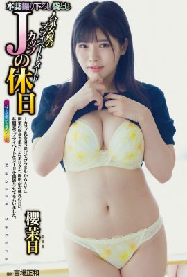 [櫻茉日] Foto private del seno completamente esposto, seducenti e seducenti (4P)