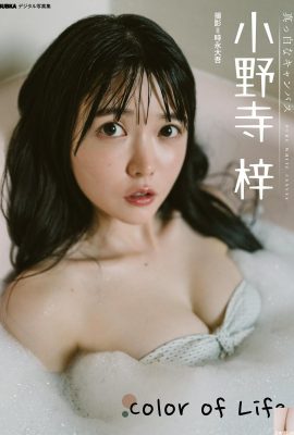 [小野寺梓] Il seno di Sakura Girl non può essere nascosto, non importa quanto sia stretta la sua borsa, e la sua figura è completamente libera (21P)