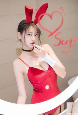 Coniglietta di bellezza sexy con figura attraente (24P)