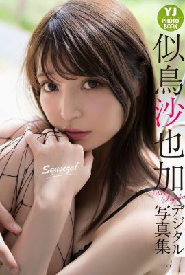 (Nitori Sayaga) Ha un viso bellissimo e un seno grande e non scientifico che è estremamente allettante (27P)