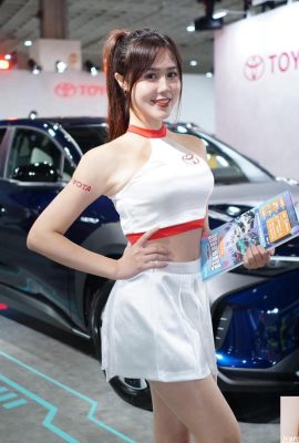 (Raccolto da Internet) 2023 Nuovo Taipei Motor Show Bellissimo modello espositivo realistico (108P)
