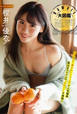 (Sakurai Yui) È così bello vedere il seno perfetto della bellezza, bianco e paffuto (9P)