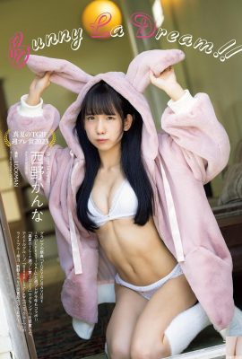 (Nishino Aya) Ragazza Sakura dal seno super… la foto è così carina (7P)