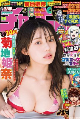 (Kikuchi Himena) Foto di una ragazza dal seno grande che mostra una profonda scollatura a V in bikini (13P)
