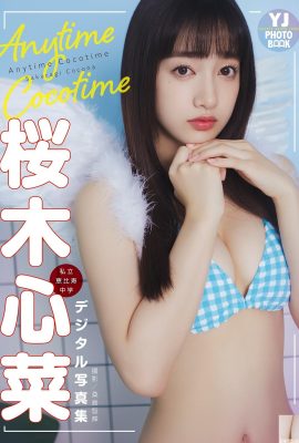 (Sakura Sakura) La figura accattivante della ragazza Sakura è così sexy che le persone non possono resistergli (22P)