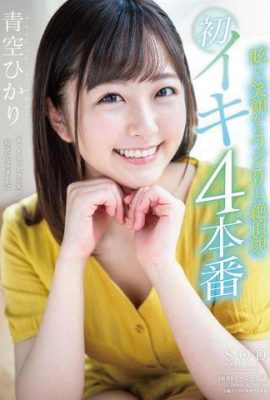 Aozora Haru~Dal sorriso smagliante all'affascinante volto culminante (13P)