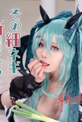 Hatsune Miku: Quella cipolla verde sottile si è rotta?