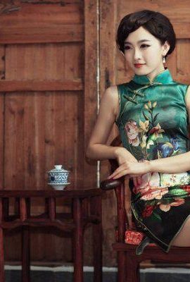 Dipinto ad olio di affascinante bellezza cheongsam (8P)