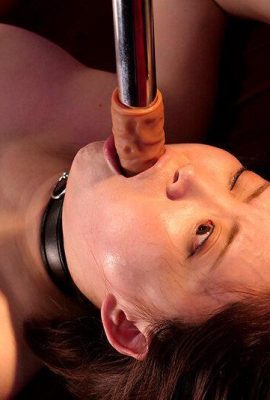 Hardcore Lesbian BDSM Watch umiliato pubblicamente (11p)