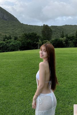 Nessuno? Scrivi la bellissima fidanzata di “Lin Shan” (28p)