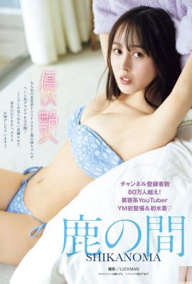 (Deer's Day) La curva di grazia sfida la linea razionale di tutti (16p)