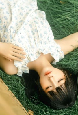 Anime – Stupid Momo- Wooden Box (18p)