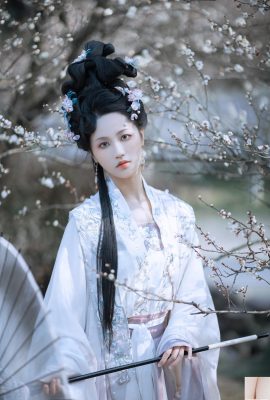 I fiori e i funghi di Jiangnan Plum sono in inverno (33p)