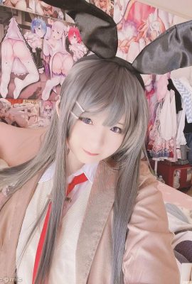 (Stupido) Mai Sakurajima Mai (27p)