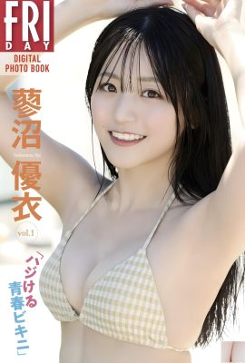 (Tainu Nichi) Angel Face + Devil Figura è estremamente perfetta (22p)