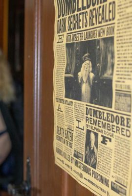(Suicide Girls) 29 maggio 2025 – Babybi – Thestrals (41p)