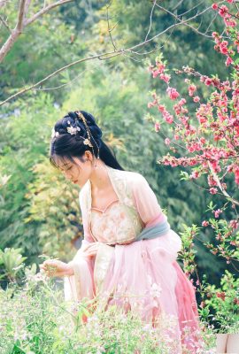 (Foto del set di modelli cinesi) Nnian”Begonia Fairy” (84p)