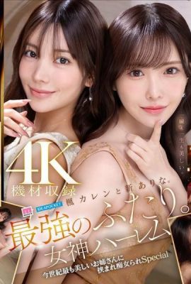 Kaede Karen e Shin Arina. I due più forti. Dea harem La più bella signora del secolo