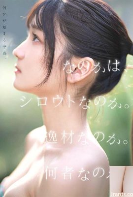 È Hatsumi o un dilettante? Sei una persona di talento?