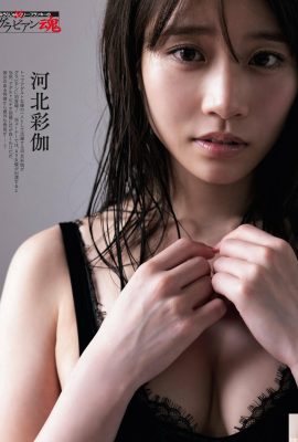(Hebei Caijia) Gli occhi della dea calda sono affascinanti e sexy (10p)