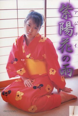 Porn Star in Urabon-Books Hydrangea Rain (52p)