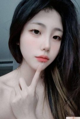 Porta studenti universitari puri (12P