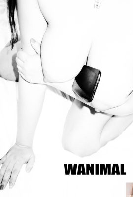 (Lavoro di Wang Dong) Wang Dong) WANIMAL Collezione di foto Tumblr (105) (50P)